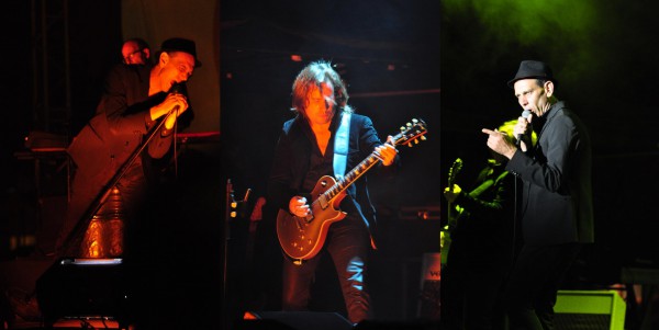 Têtes Raides Pelouse 2014