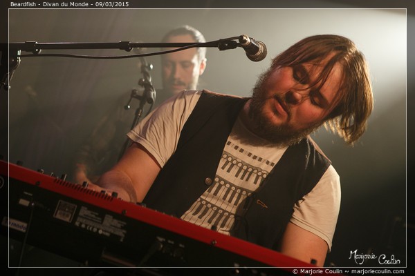 Beardfish, Divan du Monde, Prog, Neal Morse