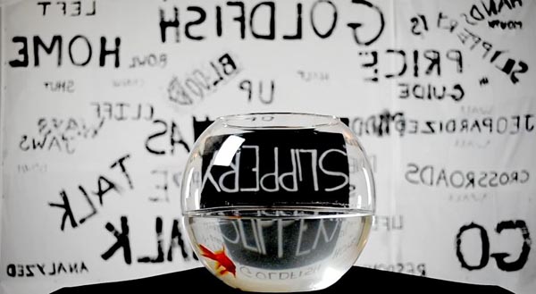 The Do, clip, reprise