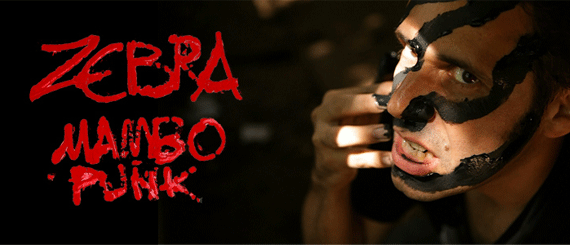concert, tournée, zebra, champagne et chocolat, mambopunk