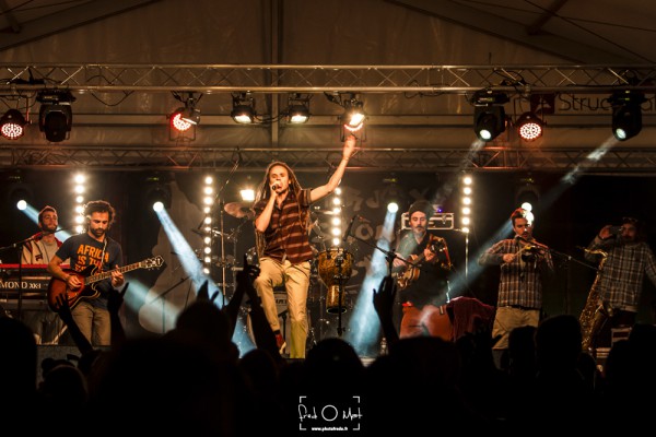 the banyans, verjux saône system 2016, interview