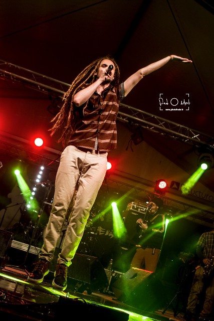 the banyans, verjux saône system 2016, devi, chanteur