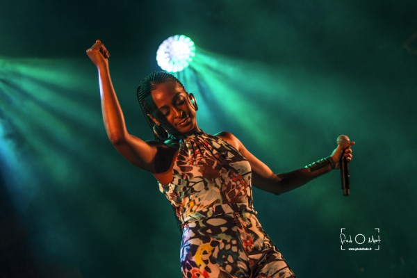 summer vibration, sélestat, alaine