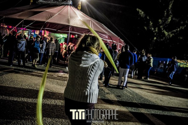 Alp'in dub