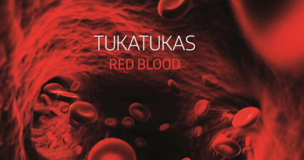 Punk, Rock, 2016, La réunion