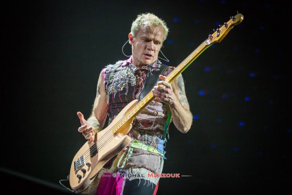 Concert, rock, funk, 2016, red hot chili, peppers, bercy