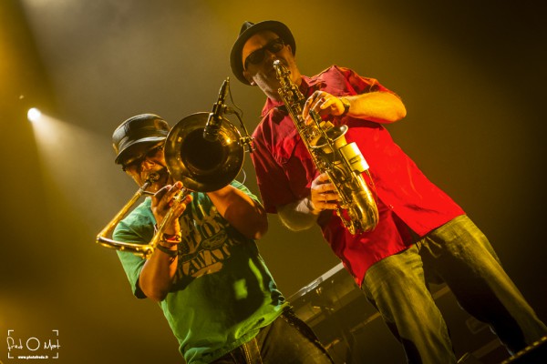 horace andy, cuivres, guillaume stepper briard