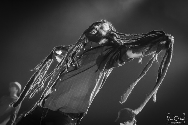 alborosie, radiant, talowa