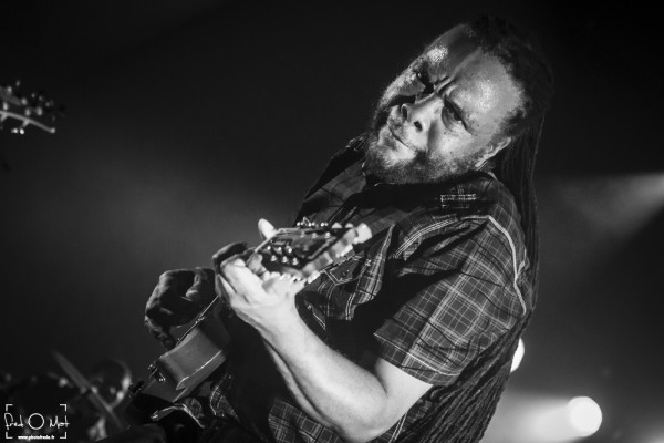 alborosie, talowa, radiant