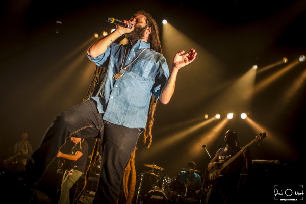 alborosie, shengen clan, radiant