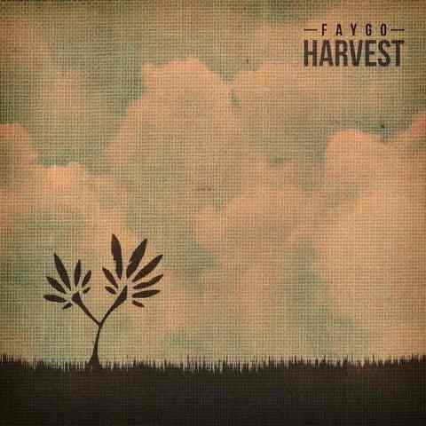 Faygo - Harvest Front