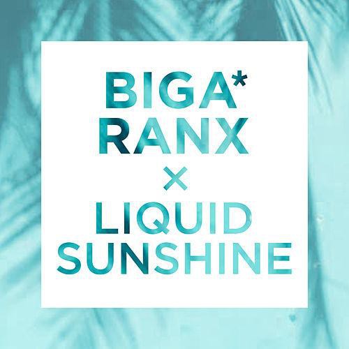 biga*ranx, liquid dub, sniff