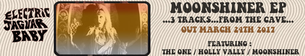 Electric Jaguar Baby, moonshiner, interview