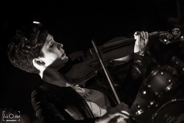 williams brutus, le crusoé, dijon