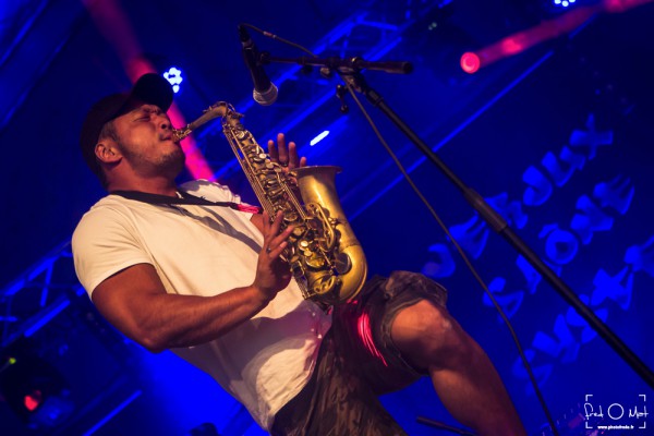 verjux saône system, echo mike whisky