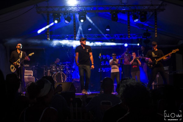 verjux saône system, echo mike whisky