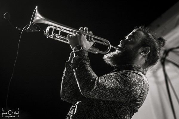 verjux saône system, wailing trees