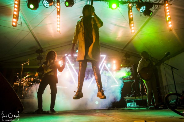 verjux saône system, wailing trees