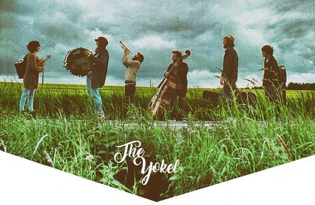 bluegrass, single, nouvel album, Here Comes the wild, the yokel