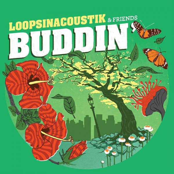 Loopsinacoustik - Buddin