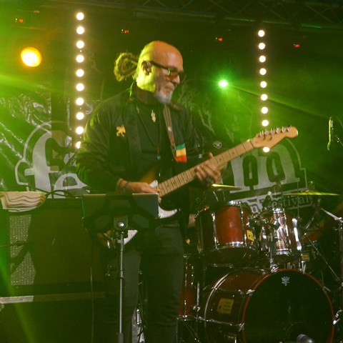 Dub Vison Band, Festijam 2017