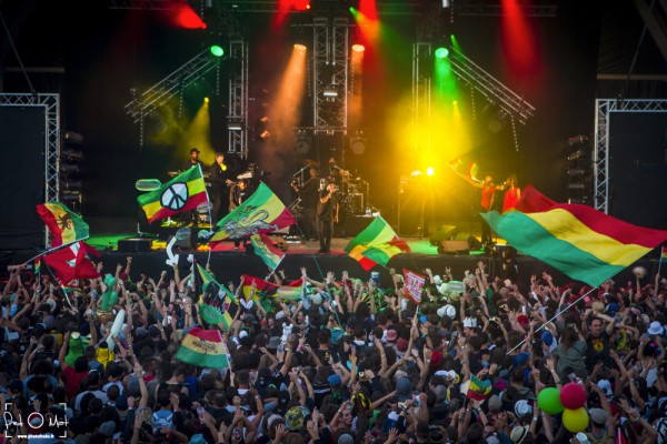 no logo, fraisans, yaniss odua