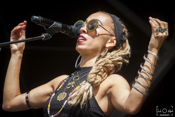 no logo, fraisans, nattali rize