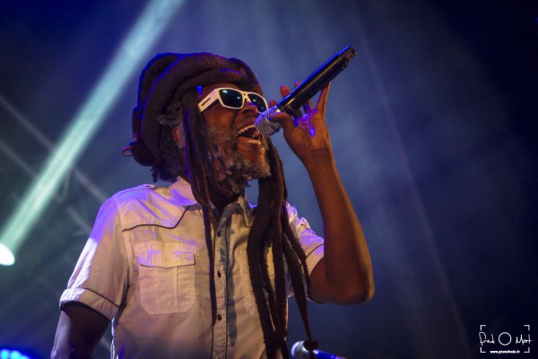 no logo, fraisans, steel pulse