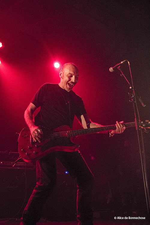 Punk, Rock, Concert, 2017