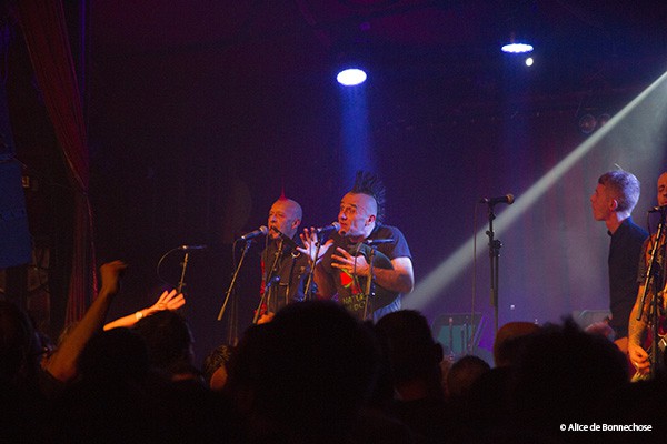 Concert, Punk, Ska, 2017