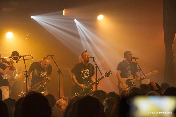 Concert, Punk, Ska, 2017