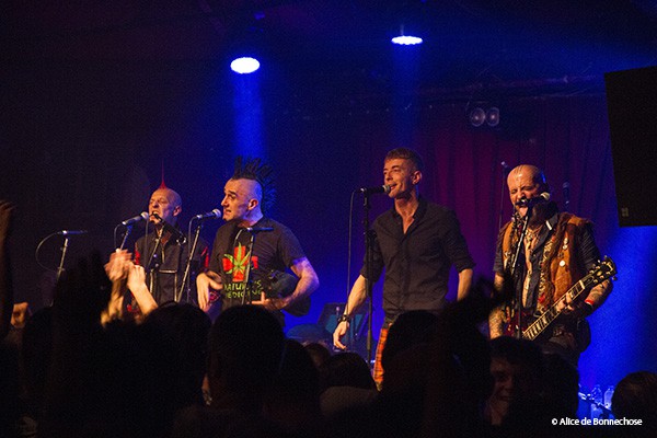 Concert, Punk, Ska, 2017