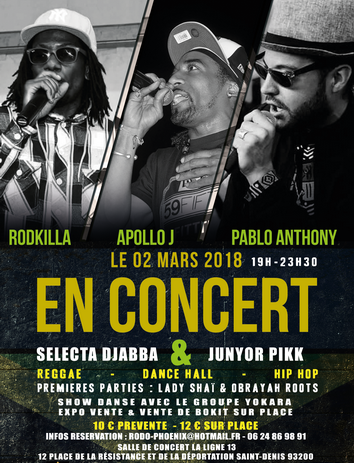 Soirée Hip Hop, reggae, Dance hall, Lgne 13 à St Denis (93)