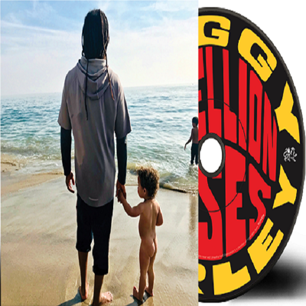 Ziggy Marley - Rebellion Rises