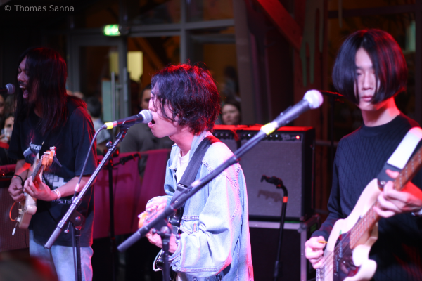 tinals, this is not a love song, 2018, nimes, paloma, moaning, jesus and mary chain, peter perret, warmduscher