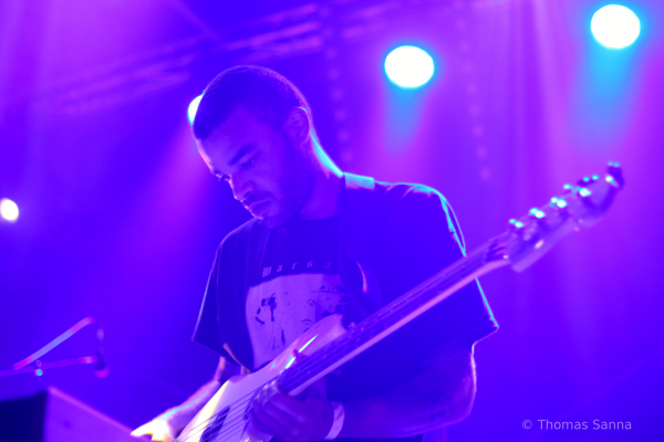 tinals, this is not a love song, 2018, nimes, paloma, moaning, jesus and mary chain, peter perret, warmduscher