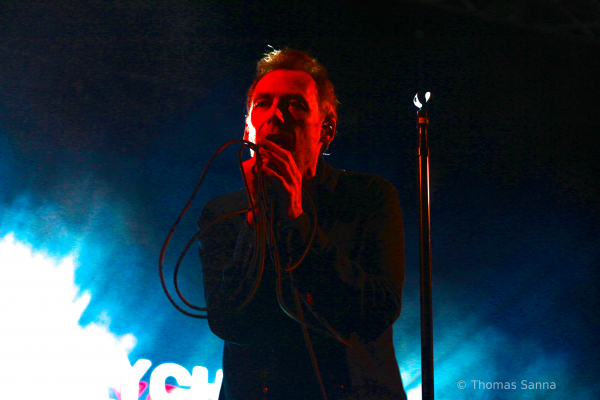 tinals, this is not a love song, 2018, nimes, paloma, moaning, jesus and mary chain, peter perret, warmduscher