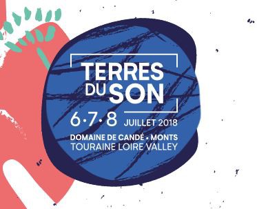 festival, terres du son, tourraine, the limiñanas