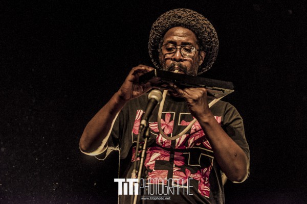 Harrison Stafford meets BrainDamage & U roy meets Mad Professor