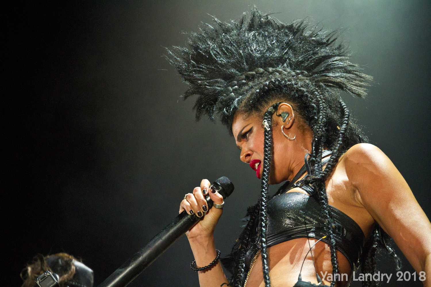 Eurocks, 30 ans, Malsaucy, Belfort, Alice In Chains, Dead Cross, Liam Gallagher, Seasick Steve, Shaka Ponk