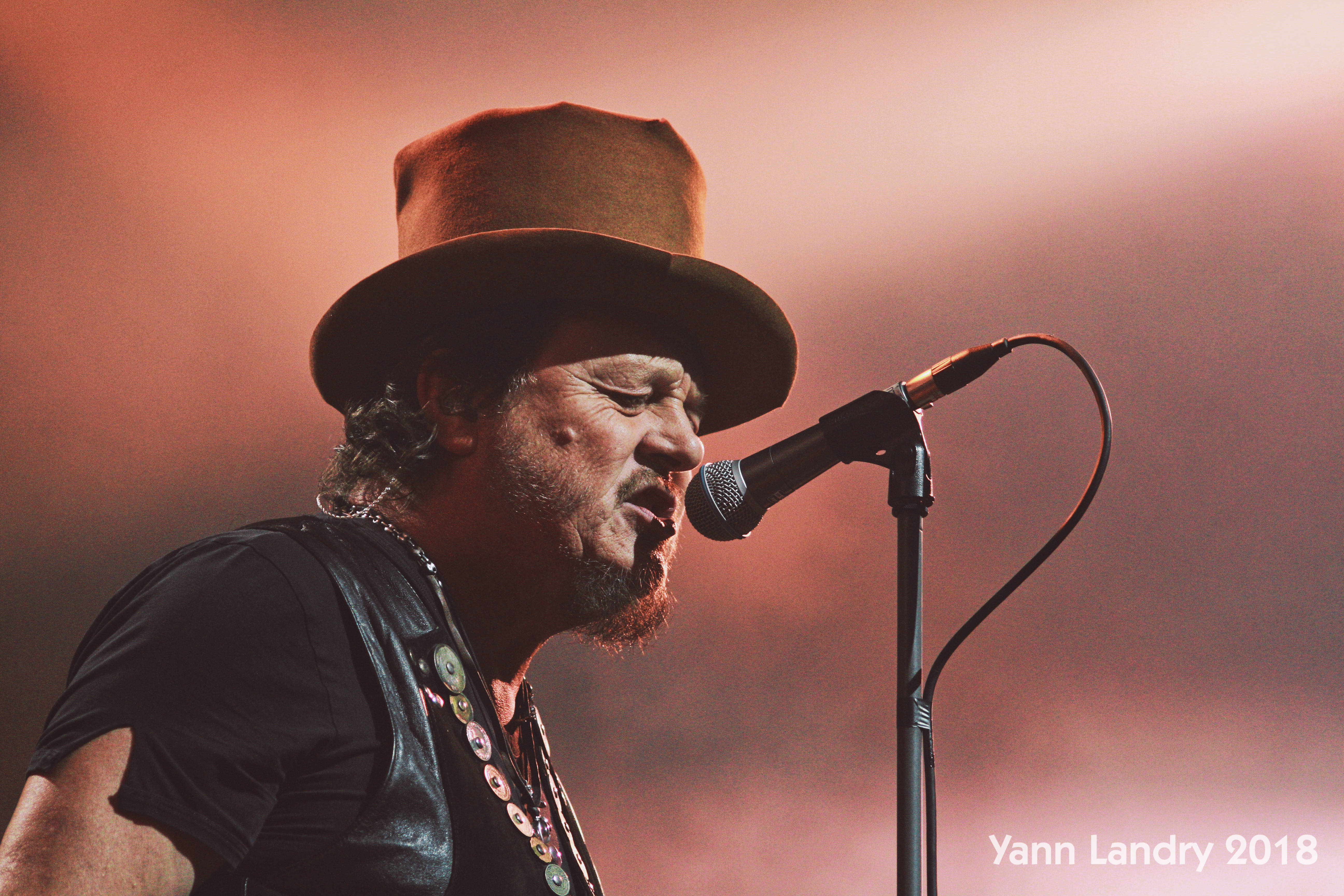 joli chapeau, #faislatronche, Yann Landry, POP