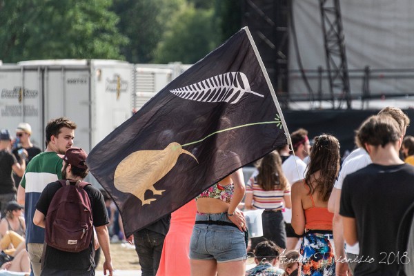 lollapalooza, festival, live nation, gorillaz, the killers, noel gallagher, nekfeu, stereophonics