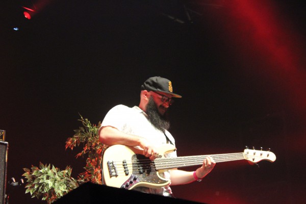 The Skints au Baco Reggae Festival