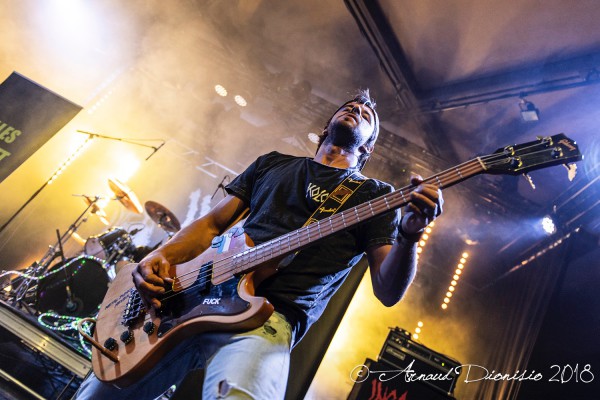 2018, Festival, Insanity Alert