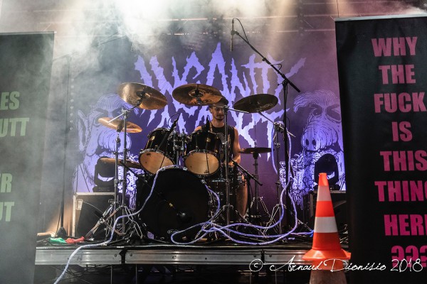 2018, Festival, Insanity Alert