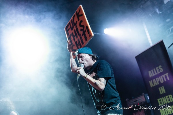 2018, Festival, Insanity Alert