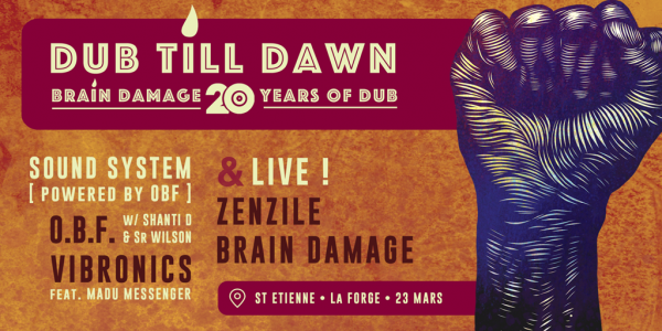 brain damage, 23 mars, saint-etienne
