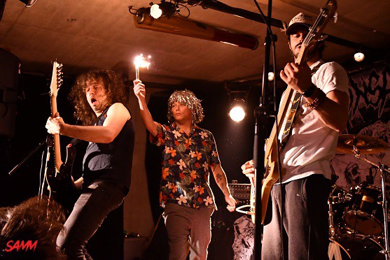 insanity alert, cirque électrique, 2019