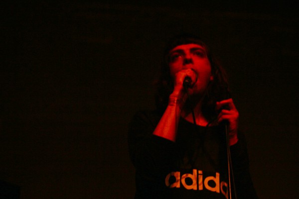 transfer, 2019, transbordeur, beak, toy, ditz, lice