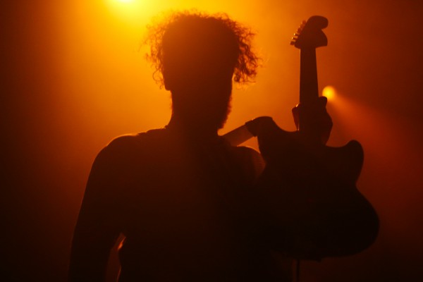 transfer, 2019, transbordeur, beak, toy, ditz, lice